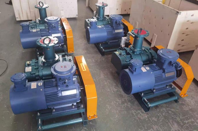 沼氣輸送羅茨風(fēng)機(jī) 化工行業(yè)用羅茨風(fēng)機(jī)沼氣輸送案例(圖2)